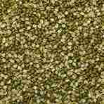 Moong Chilka  Green  - 500 gm