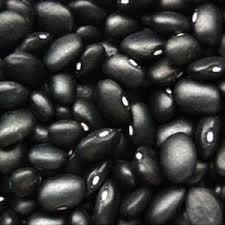 Rajma Black Seeds - 1 Kg